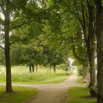 Solingen, Moers, Religiöser Narzissmus